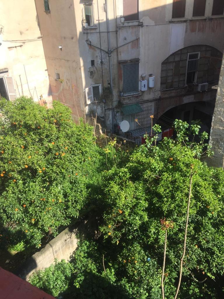 Il Miglio Apartment Naples